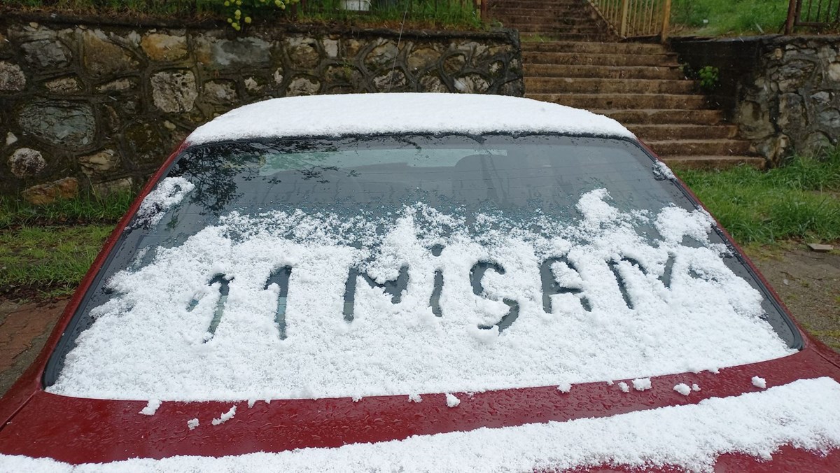 Düzce'de Nisan karı: Eriğin üzerine kar yağdı - görsel 3