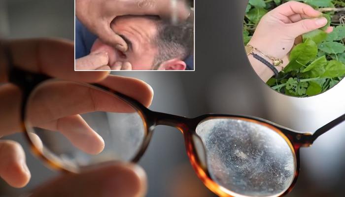 Sarı sütü damlatıyorlar ve dakikalarca acı çekiyorlar çünkü bu "gözlükten vazgeçmelerine neden oluyor"! "Kör olabilir" uyarısı.