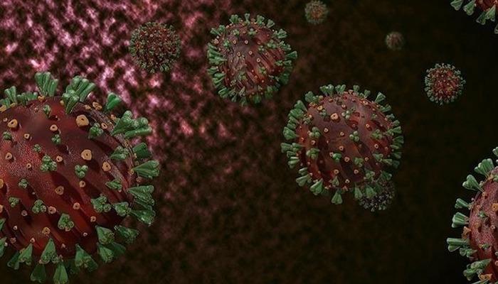 DSÖ: Afrika'da yaygın M çiçeği virüsüne karşı sürekli bulaşma riski nedeniyle hedefli aşılama şart