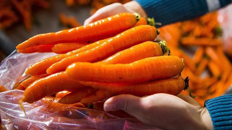 Marketlerden toplandı! Havuçta E. Coli salgını... 1 kişi öldü