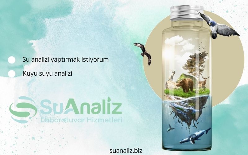 Evde Su Analizi Yaptırmak İstiyorum: Nelere Dikkat Etmeliyim?